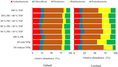 Assessing the influence of diverse phosphorus sources on bacterial communities and the abundance of phosphorus cycle genes in acidic paddy soils